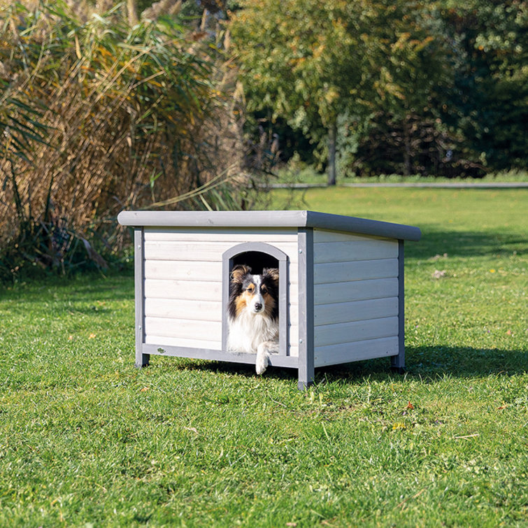 Dog kennel 2024 cheap as chips